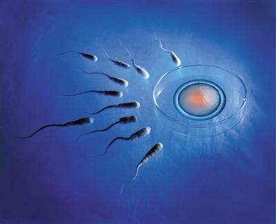 显微操作